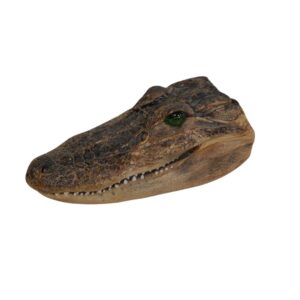 Small Crocodile Head for TV, Film & Theatre production hire.