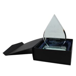 A.P.B Glass Trophy for TV, Film & Theatre production hire